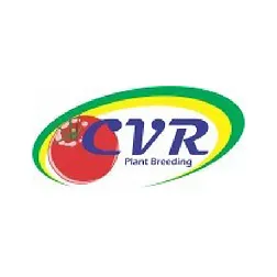 CVR