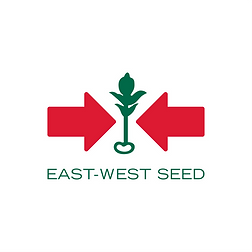 EAST-WEST SEED