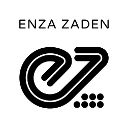 ENZA ZADEN