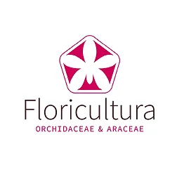 FLORICULTURA ORCHIDACEAE