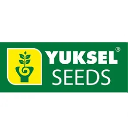 Yuksel Seed