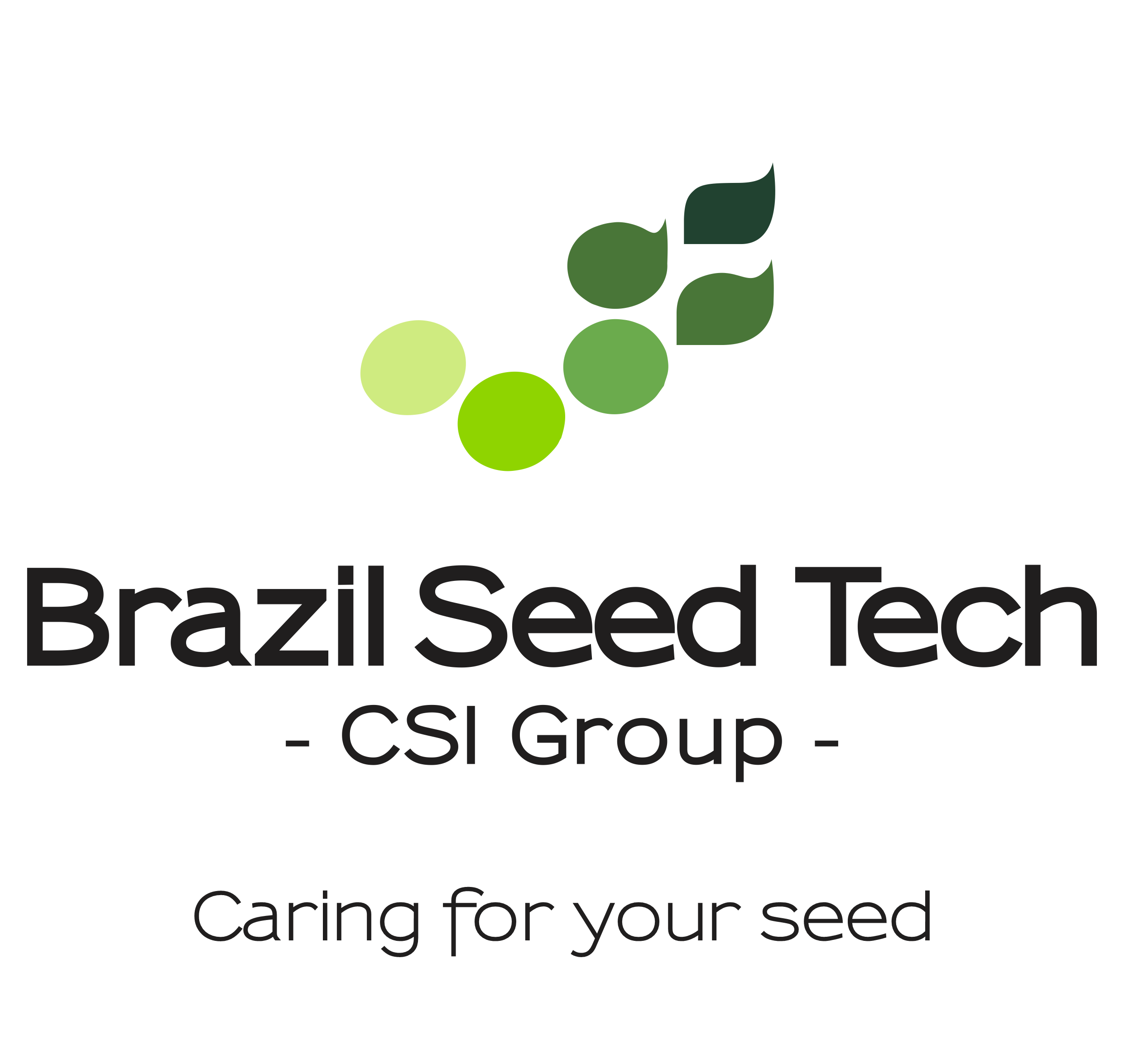 BRAZIL SEED